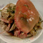 Crab 31