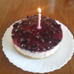 Blueberry Cheese Cake 12