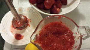 Strawberry Jam 7